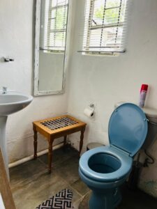 Mrakes Guesthouse Toilet 1